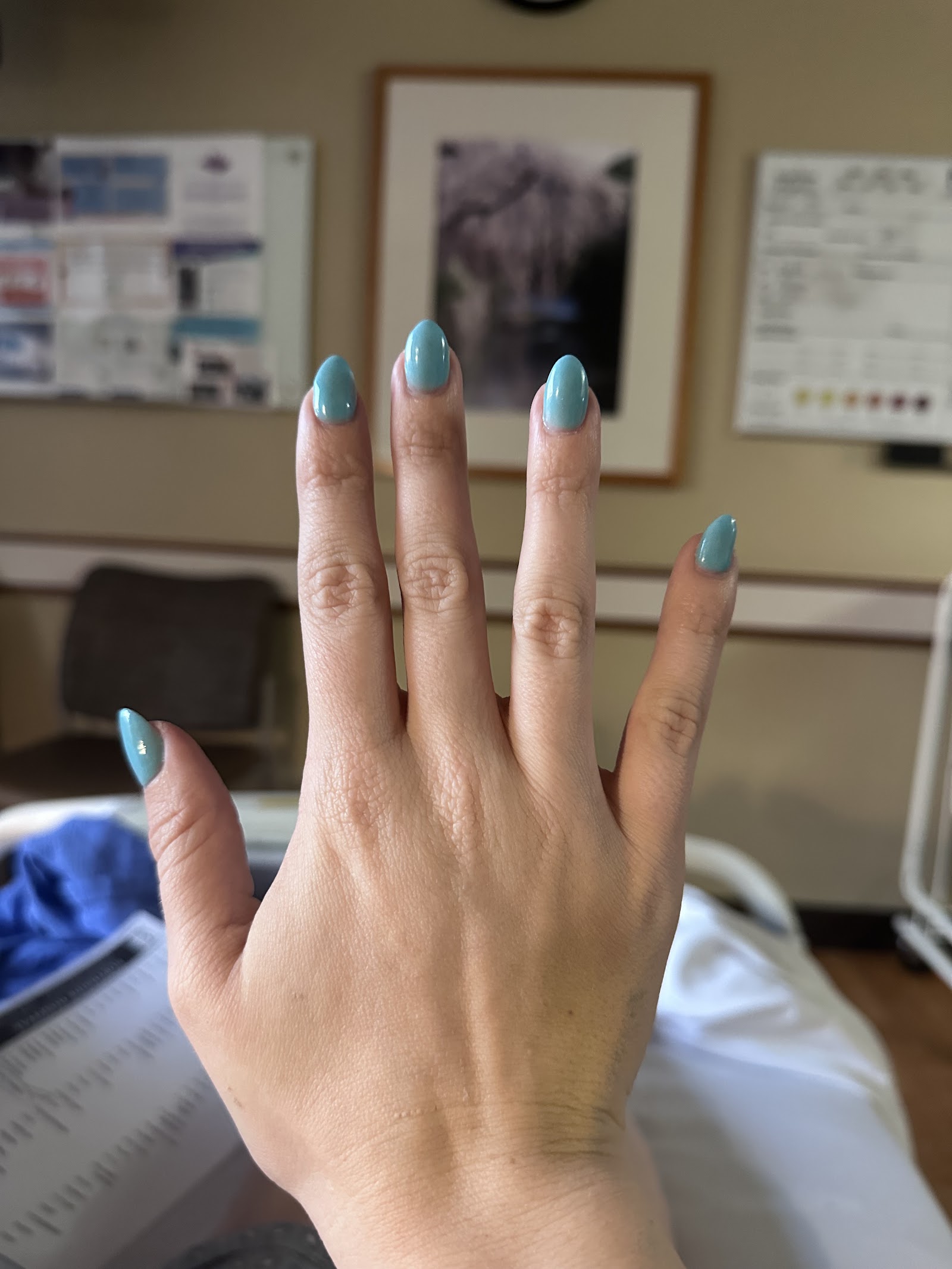 Manicured N' Polished Mobile Nail Spa logo